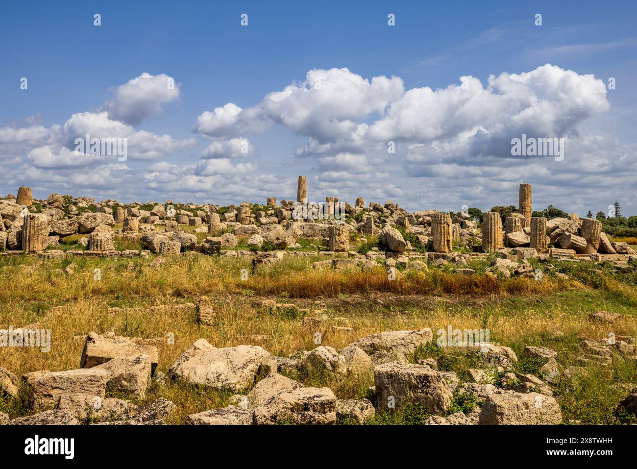 Les ruines des temples grecs à Selinunte, Sicile Banque D'Images