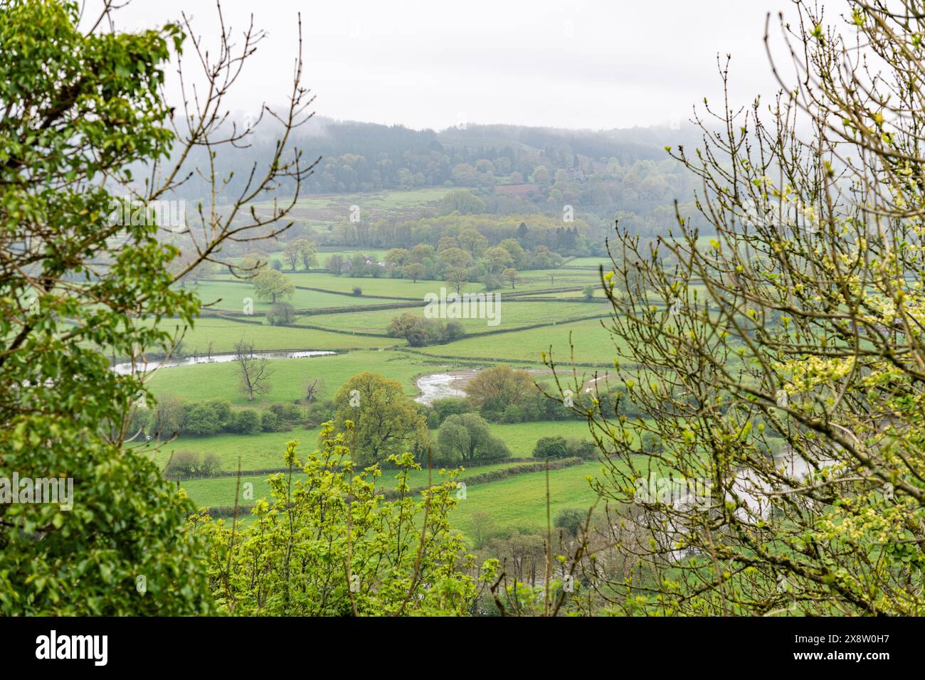 Vue de la rivière Towy depuis Castell Dinefwr dans les Brecon Beacons au pays de Galles, Royaume-Uni Banque D'Images