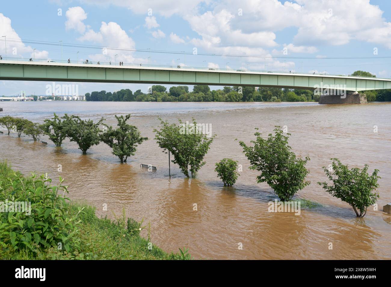 Promenade inondée sur la Konrad-Adenauer-Ufer sur le Rhin à Cologne en Allemagne Banque D'Images