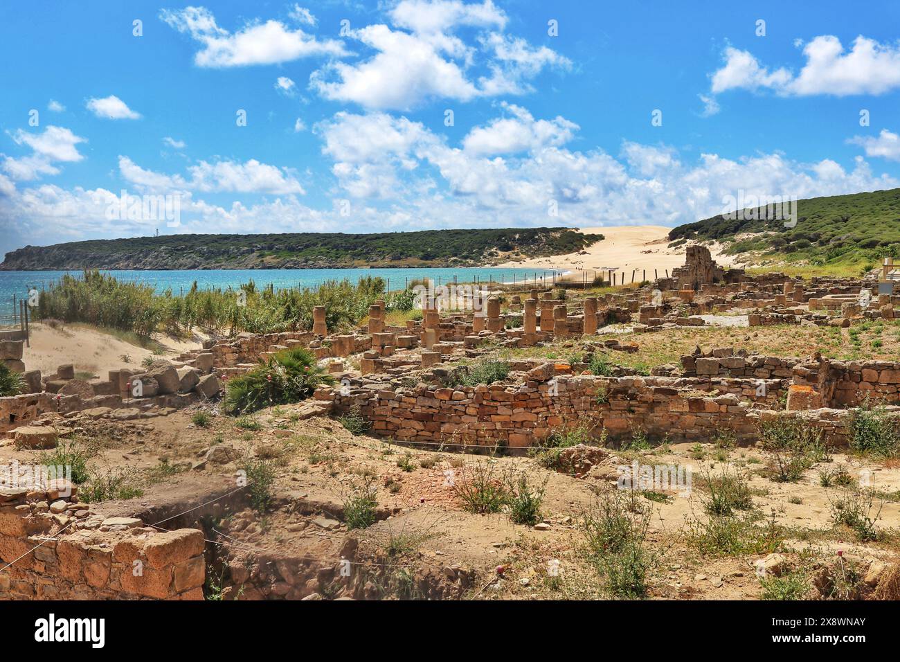 Les ruines romaines frappantes de Baelo Claudia près de Cadix, en Espagne, montrant l'impressionnante Duna de Bolonia en arrière-plan Banque D'Images