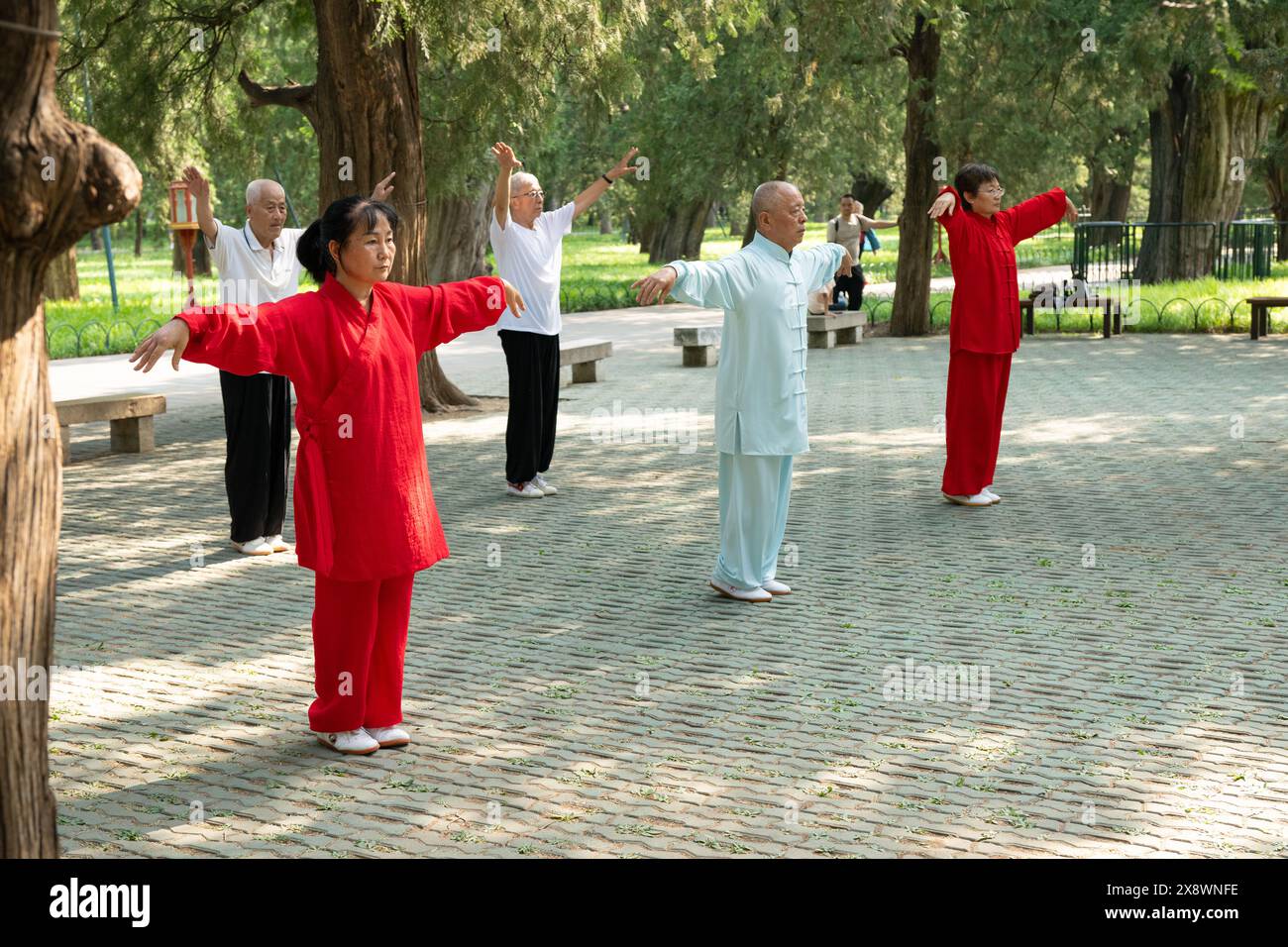 Les Chinois pratiquent le Tai Chi le matin à Pékin, Chine Banque D'Images