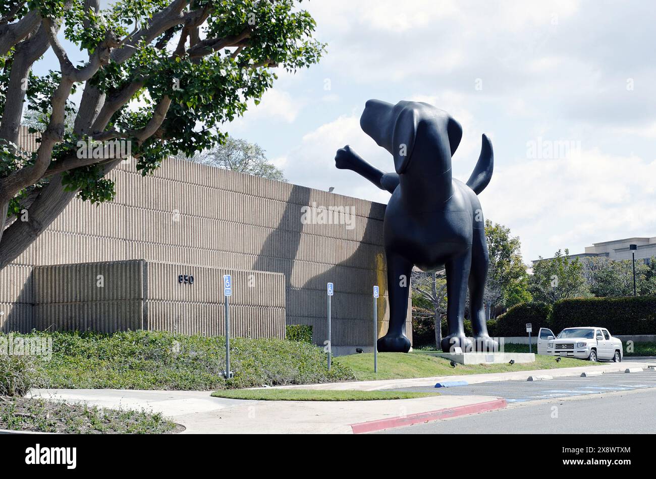 Scupture de Richard Jackson nom de l'artiste ' Bad Dog ' au Musée d'Art du comté d'Orange à Newport Beach le 9 mars 2013 Banque D'Images