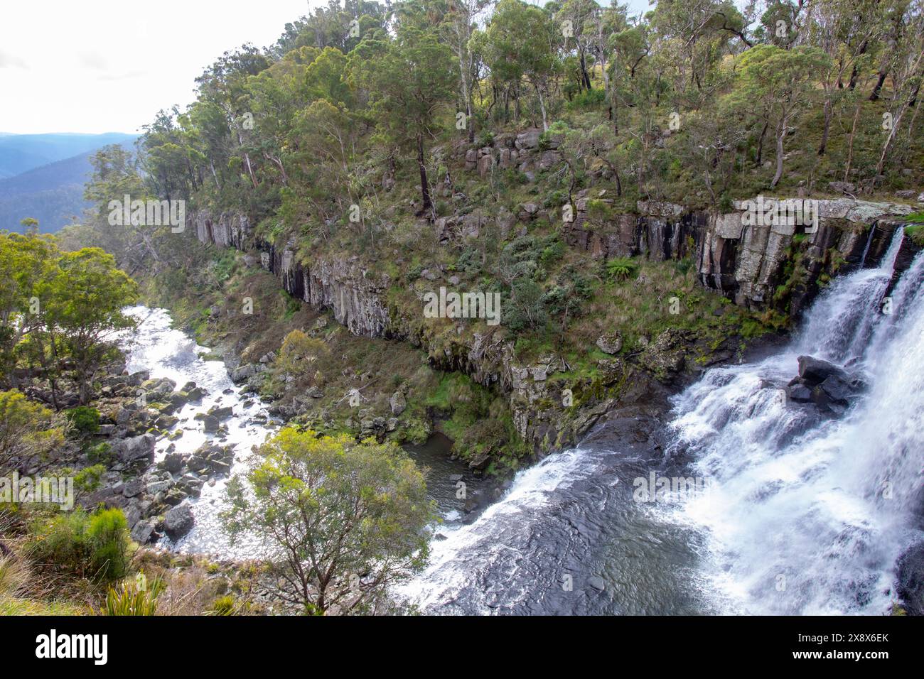 Chute d'eau Ebor Falls sur Waterfall Way dans le parc national Guy Fawkes, région de Nouvelle-Galles du Sud, Australie Banque D'Images