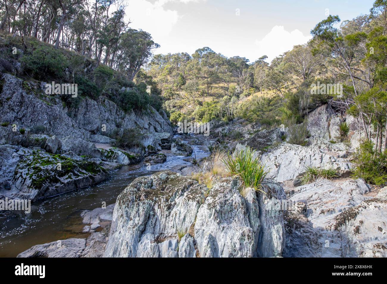 Rivière Wollemombi dans le parc national d'Oxley Rivers, qui coule vers la deuxième plus grande cascade d'Australie, Nouvelle-Galles du Sud, Australie Banque D'Images