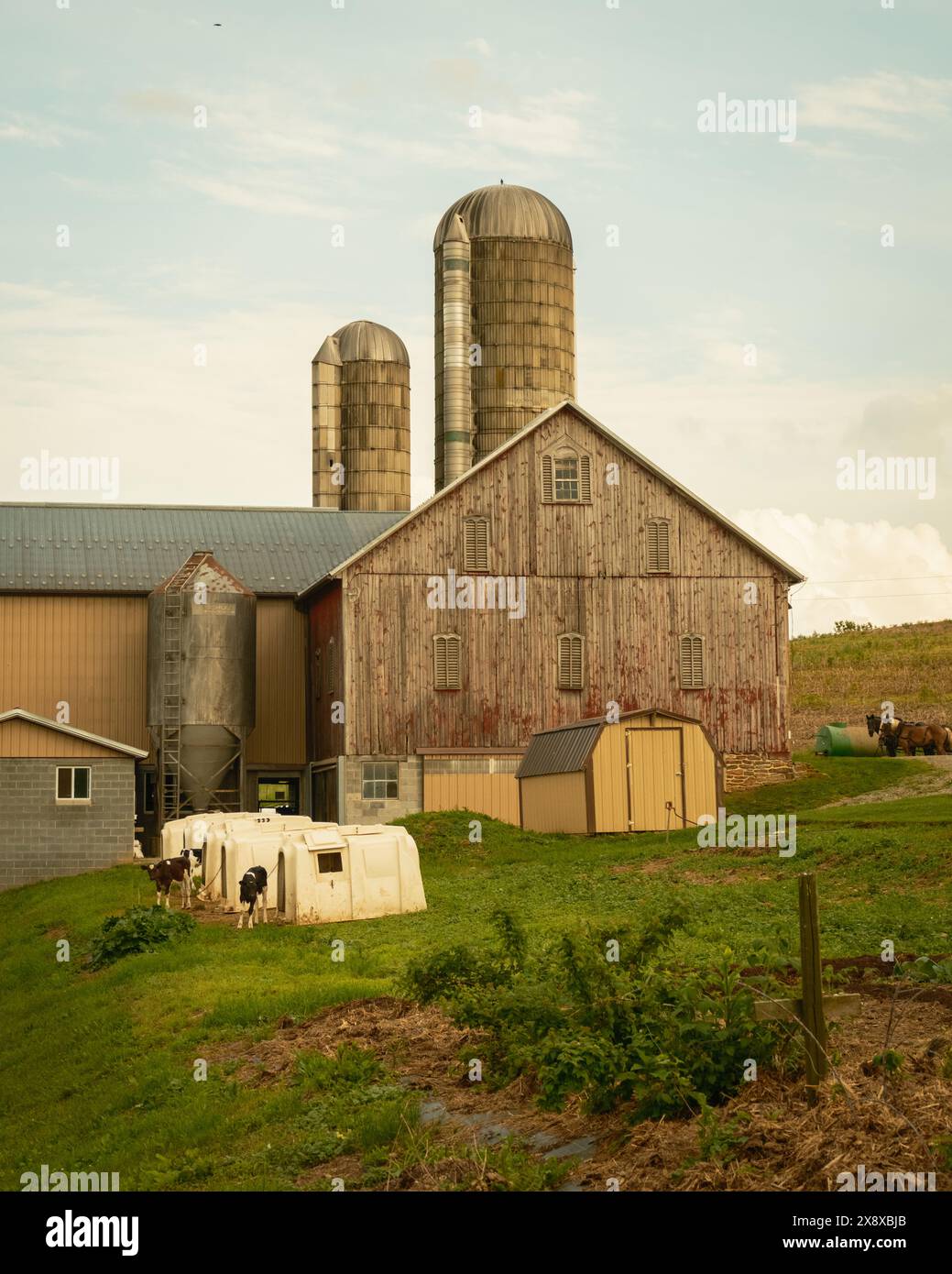 Grange et silos dans une ferme à Glen Rock, Pennsylvanie Banque D'Images