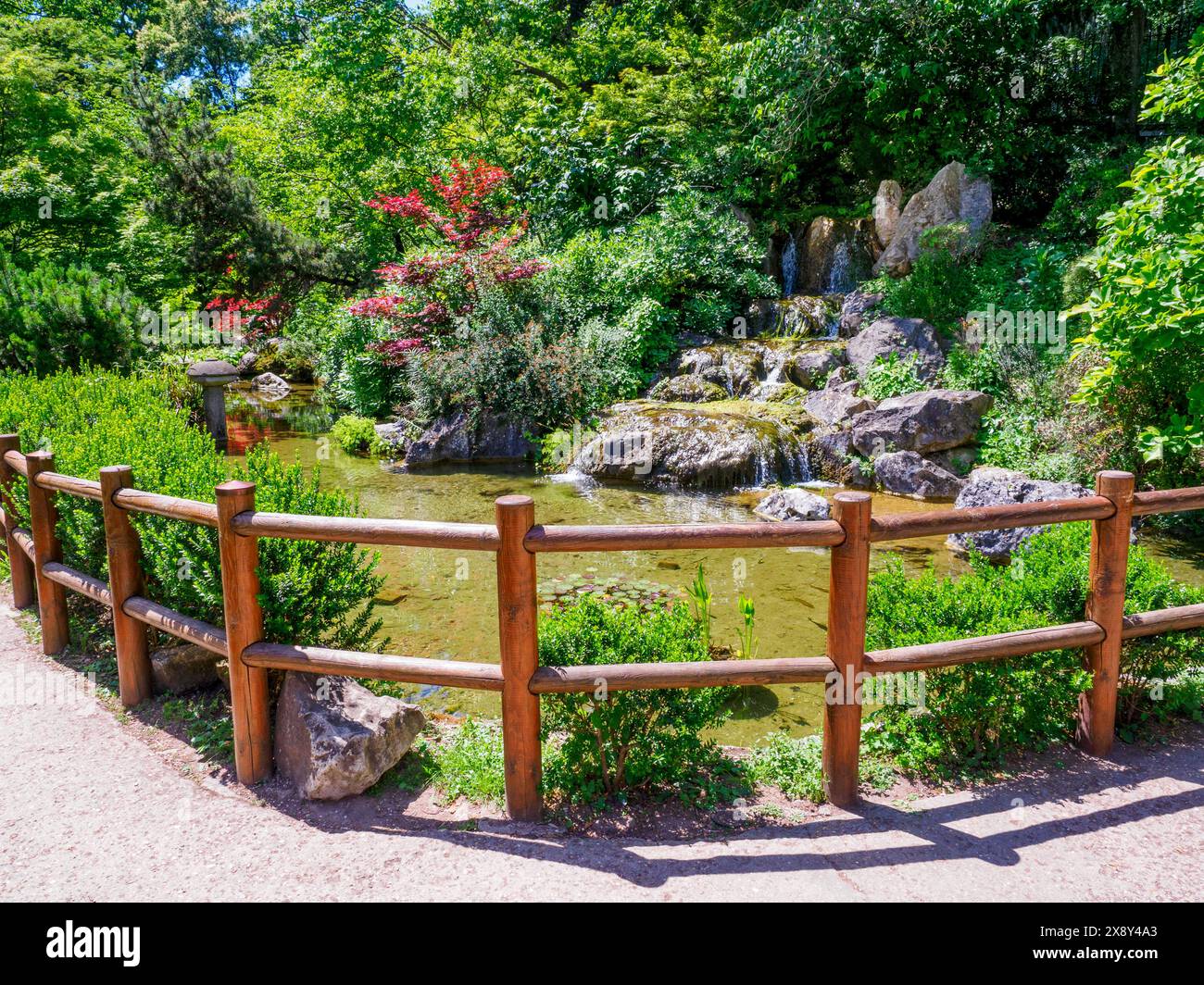 Jardin japonais dans le jardin botanique de Rome, situé sur les pentes du Janiculum, dans l'ancien parc de Villa Corsini, autrefois résidence de Christina de Suède. La structure dépend du Département de biologie environnementale de l'Université de Rome 'la Sapienza' - Rome, Italie Banque D'Images
