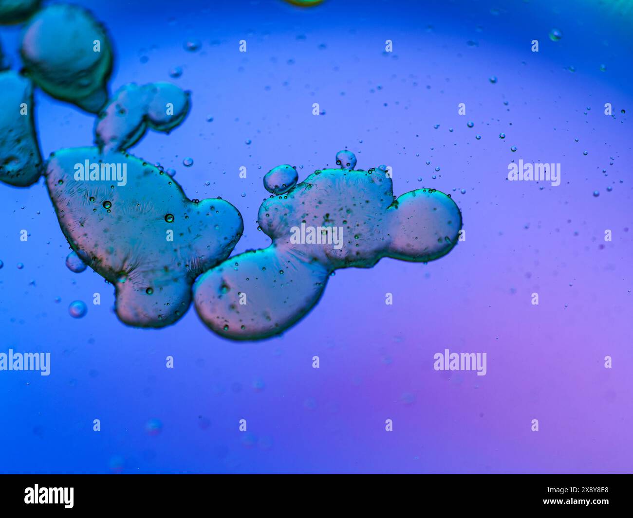 Mélange d'eau et d'huile, beau fond abstrait de couleur. Huile de fond colorée abstraite dans l'eau avec des couleurs de gradient colorées. Image macro. Banque D'Images