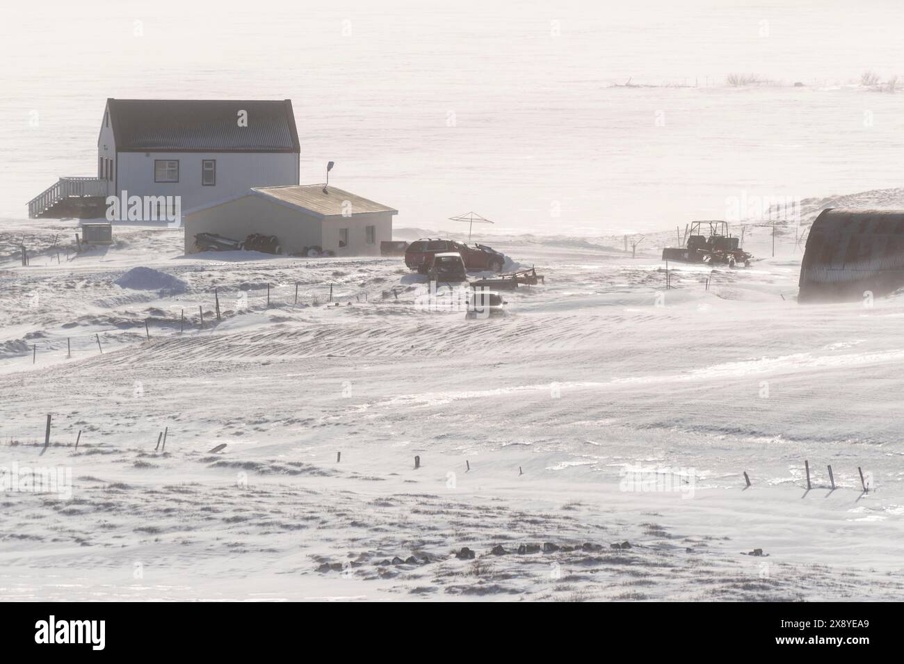 Islande, région du Nord-est, région de Myvatn, ferme Banque D'Images