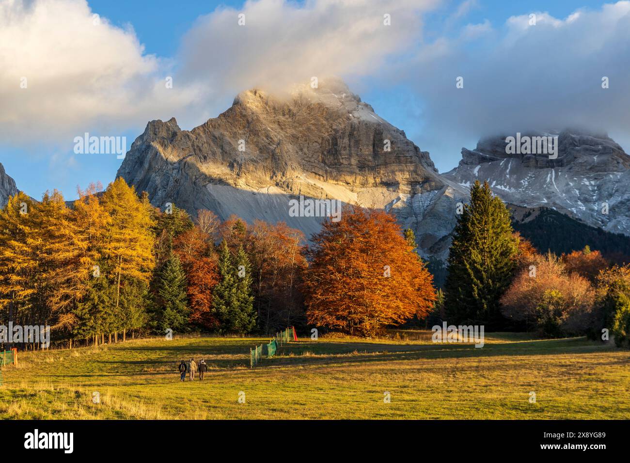 France, Drôme, Parc naturel régional du Vercors, massif du Dévoluy, vallée de Jarjatte, Tête de la Plainie ou Roc de Garnesier (2383 m) Banque D'Images