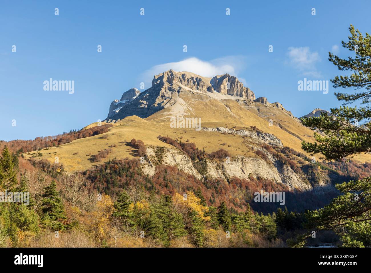 France, Drôme, Parc naturel régional du Vercors, massif du Dévoluy, vallée de Jarjatte, Tête de Lauzon (2278 m) Banque D'Images