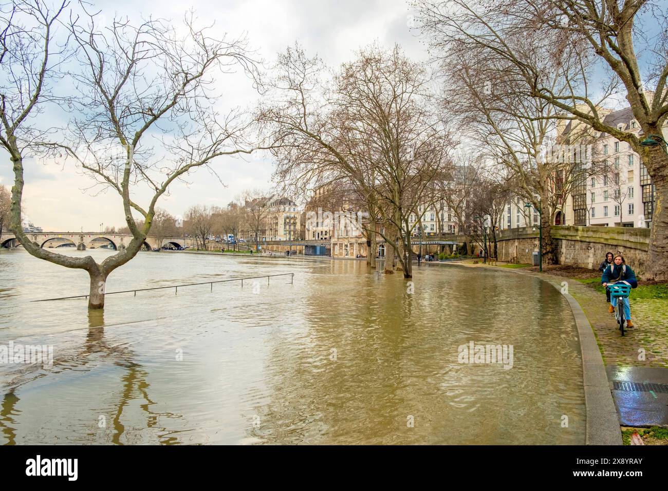 France, Paris, les rives de la Seine classées au Patrimoine mondial de l'UNESCO, inondations sur le quai Henri IV Banque D'Images