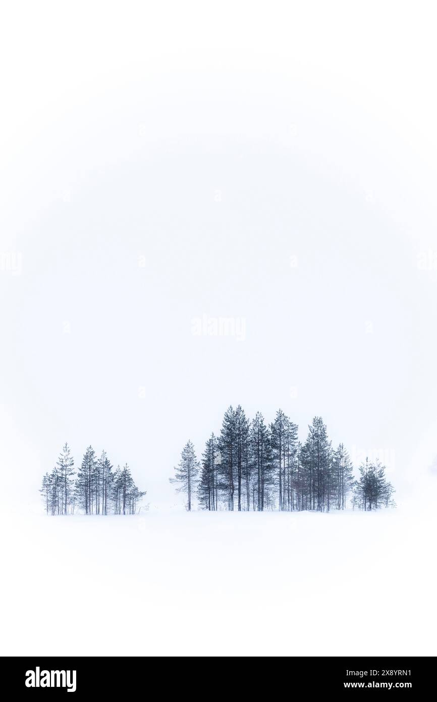 Finlande, Laponie, Ostrobotnie du Nord, Parc national de Hossa Banque D'Images