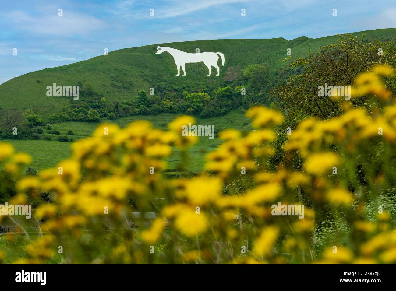 Figurine Westbury White Horse Hill Banque D'Images