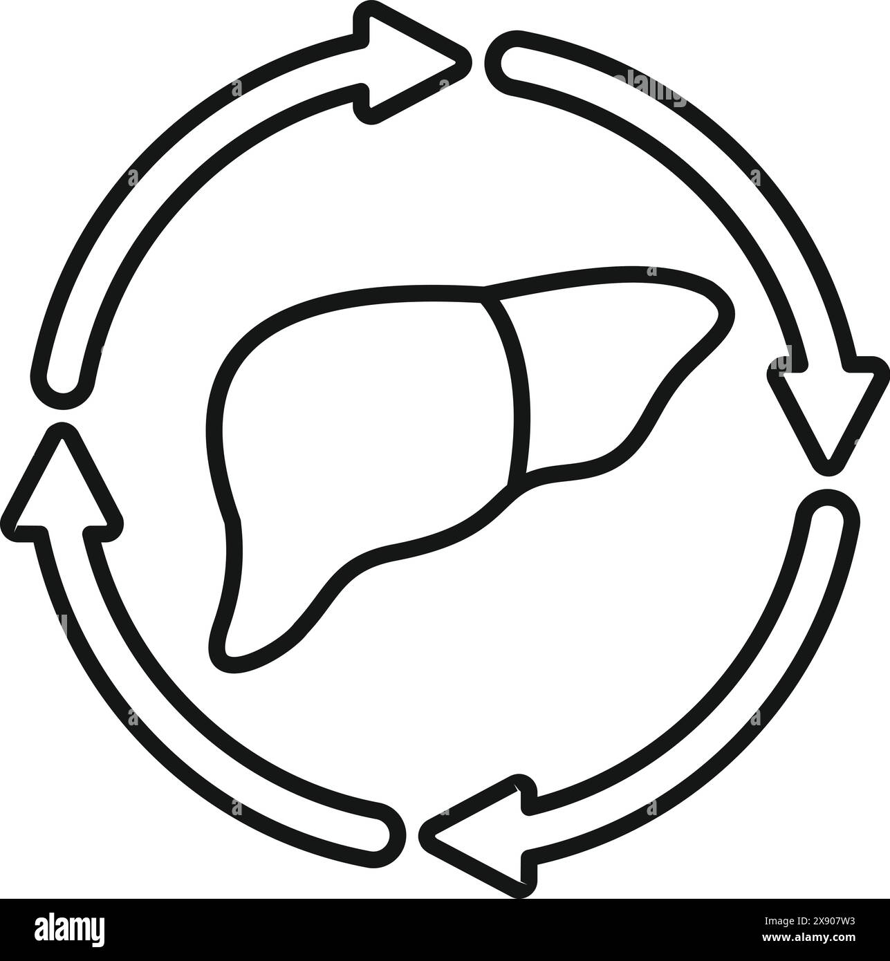 Icône de concept de régénération du foie représentant le processus physiologique de guérison régénérative et de maintien de la fonction de désintoxication et de désintoxication de l'organe humain Illustration de Vecteur