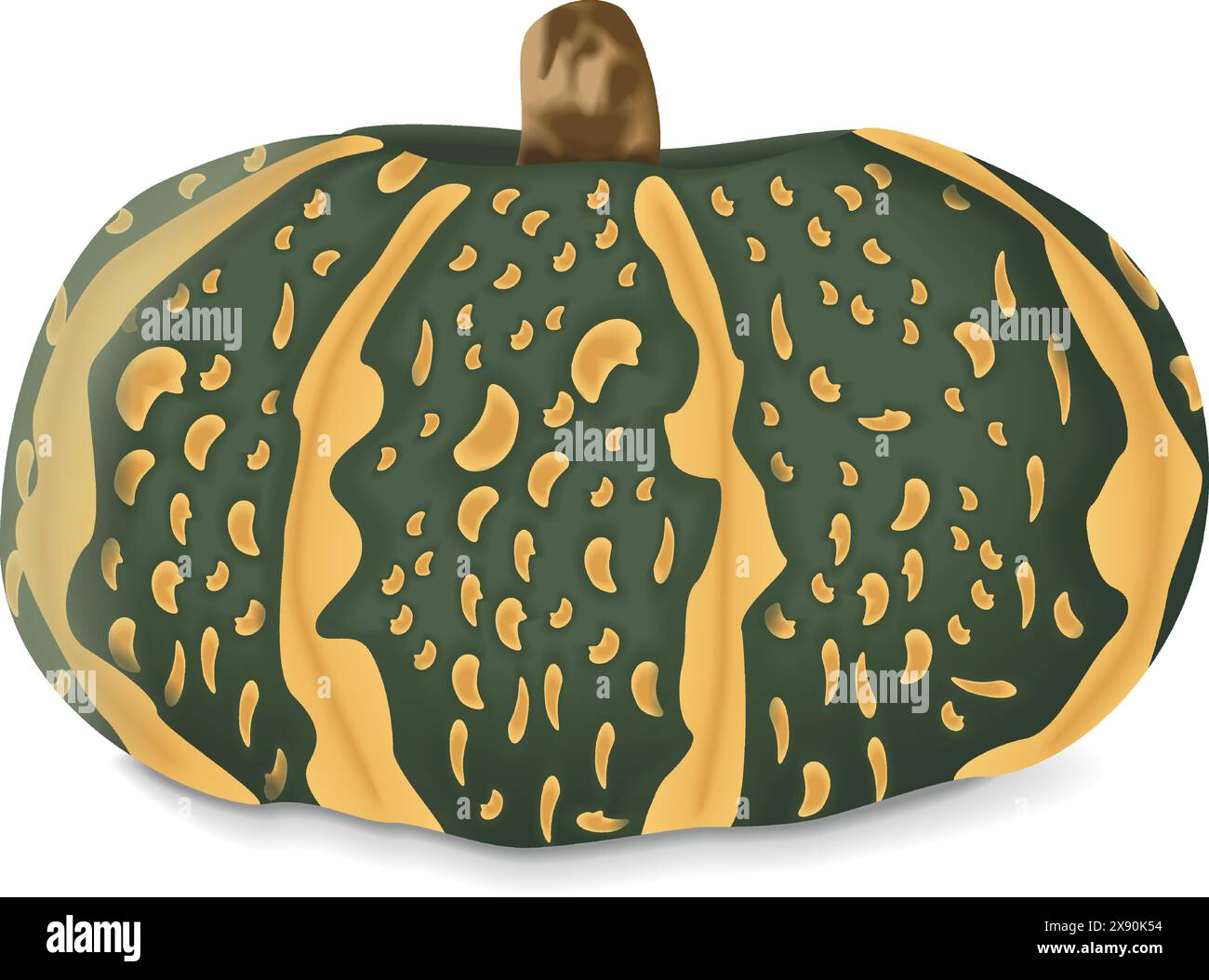 Delica Winter Squash ou citrouille Courge Delica Moretti. Cucurbita maxima. Fruits et légumes. Illustration vectorielle isolée. Illustration de Vecteur