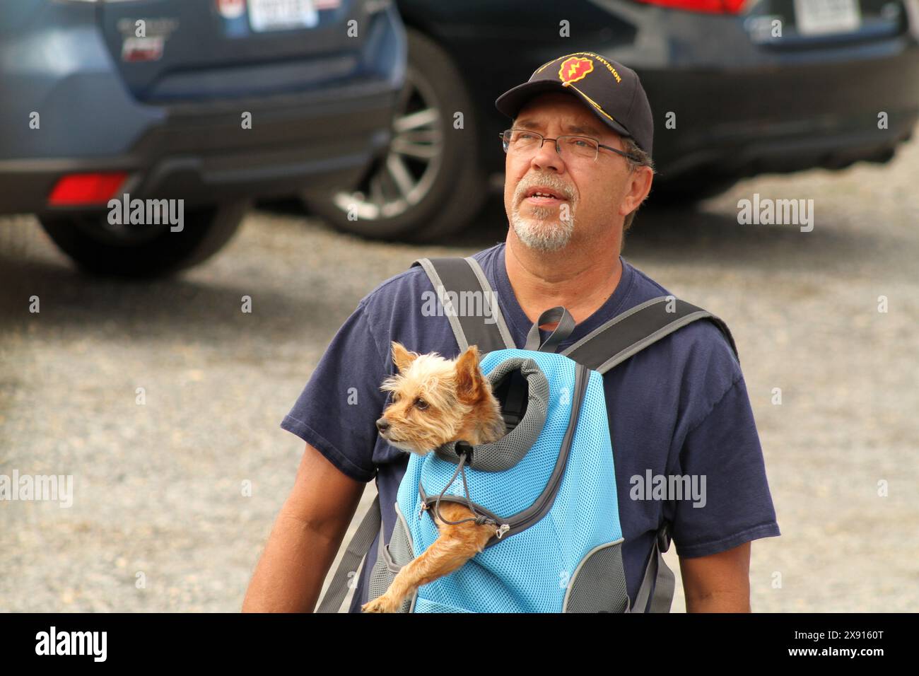 Homme avec petit chien dans un porteur Banque D'Images