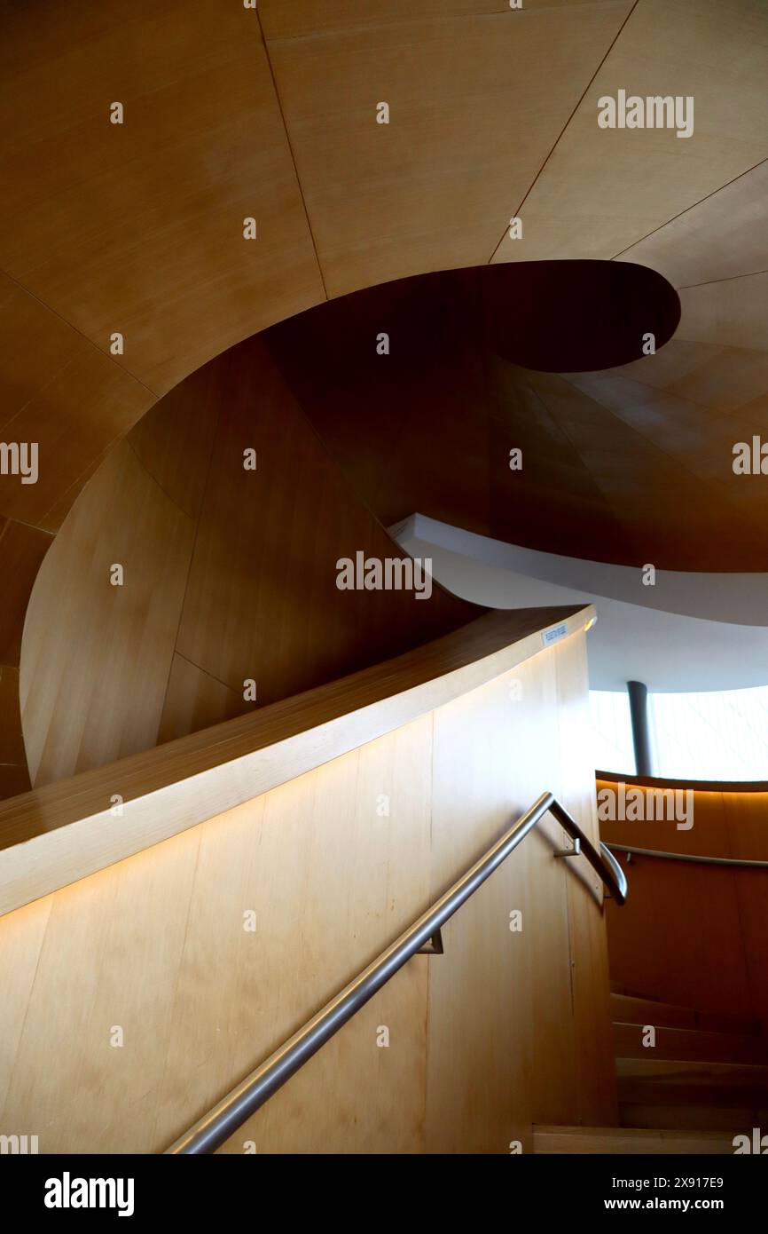 Photographie d'escalier. Escaliers dans une galerie ou une université Banque D'Images