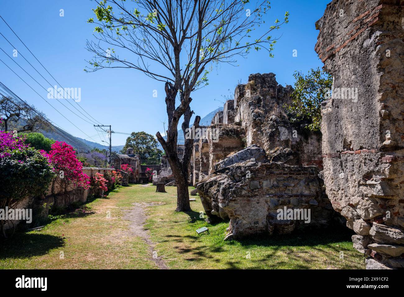 Ruines du couvent de San Francisco el Grande, un couvent franciscain achevé au début du XVIIIe siècle et détruit lors du tremblement de terre de 1773, Ant Banque D'Images