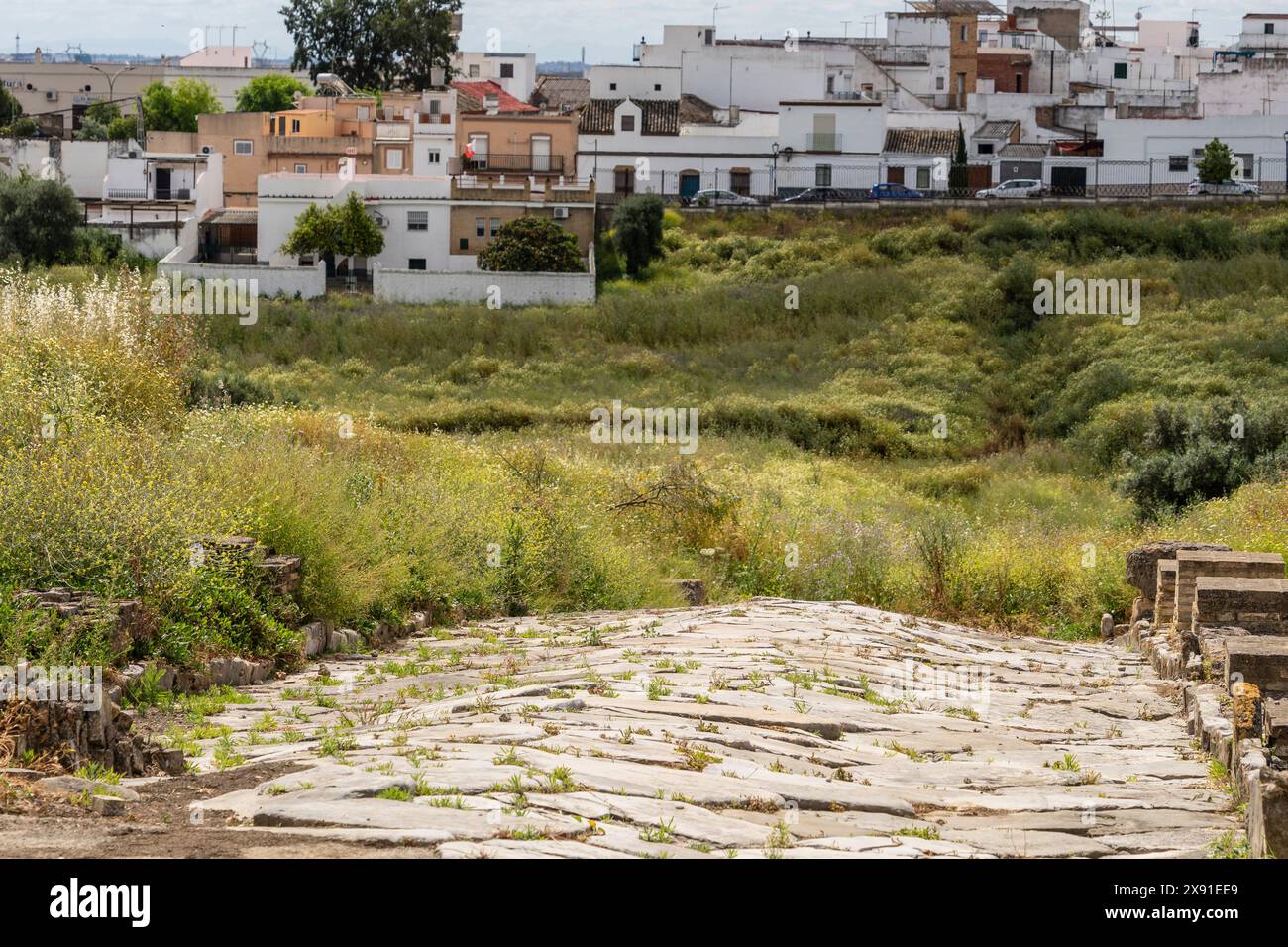 Italica, voie romaine à Cañada Honda, ancienne ville romaine, 206 av. J.-C., Andalousie, Espagne Banque D'Images