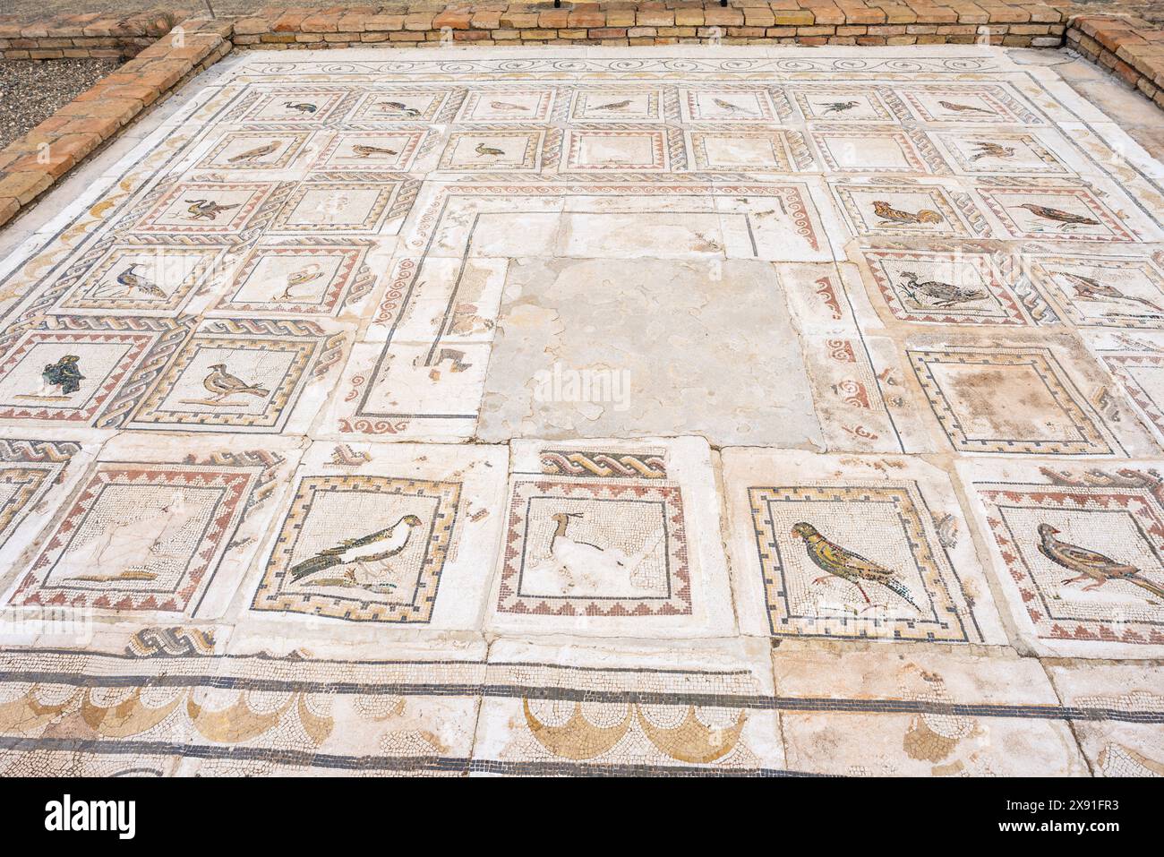 Italica, maison d'oiseaux, ancienne ville romaine, 206 av. J.-C., Andalousie, Espagne Banque D'Images