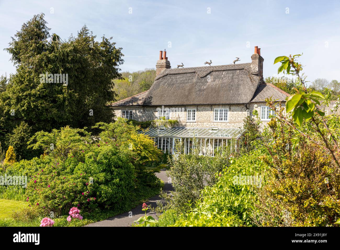 Dorset chaume maison, royaume-uni, Angleterre, finials de chaume, lièvres de chaume, embouts, embouts de toit, toit de chaume, Dorset, maison de chaume, toits de chaume Banque D'Images