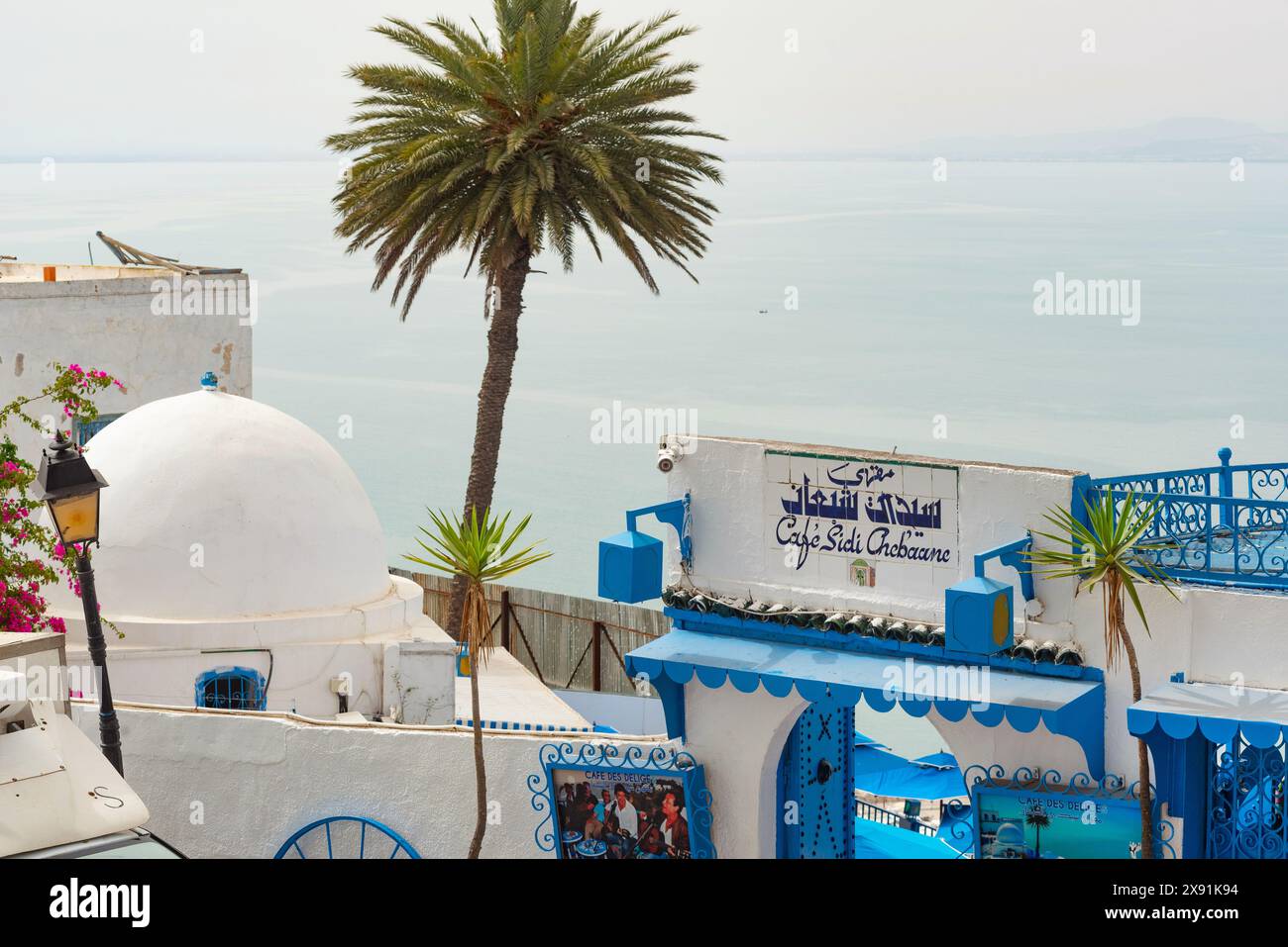 17 mai 2024. Sidi Bou Said, Tunisie. Café des délices ou Café Sidi Chabaane le café le plus célèbre de Sidi Bou Saïd, l'un des meilleurs endroits pour boire un verre Banque D'Images 17 mai 2024. Sidi Bou Said, Tunisie. Café des délices ou Café Sidi Chabaane le café le plus célèbre de Sidi Bou Saïd, l'un des meilleurs endroits pour boire un verre Banque D'Images