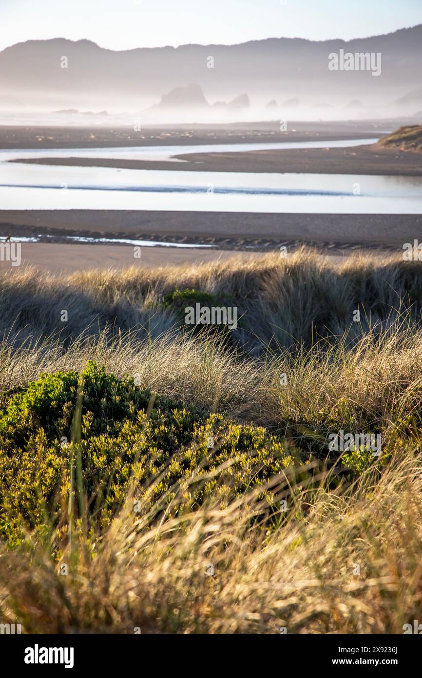 Meyer's Creek Beach se trouve sur la côte sud de l'Oregon, et est l'une des plages les plus pittoresques de la côte ouest. Banque D'Images