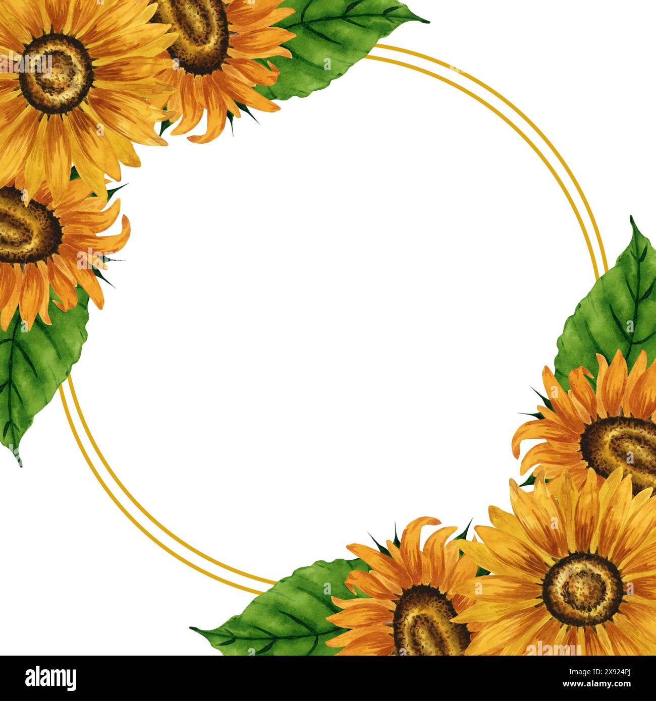 Cadre rond de tournesols aquarelle. Cadre de couronne avec des fleurs jaunes. Composition florale estivale. Arrangement de fleurs d'automne. Botanique dessiné à la main Banque D'Images