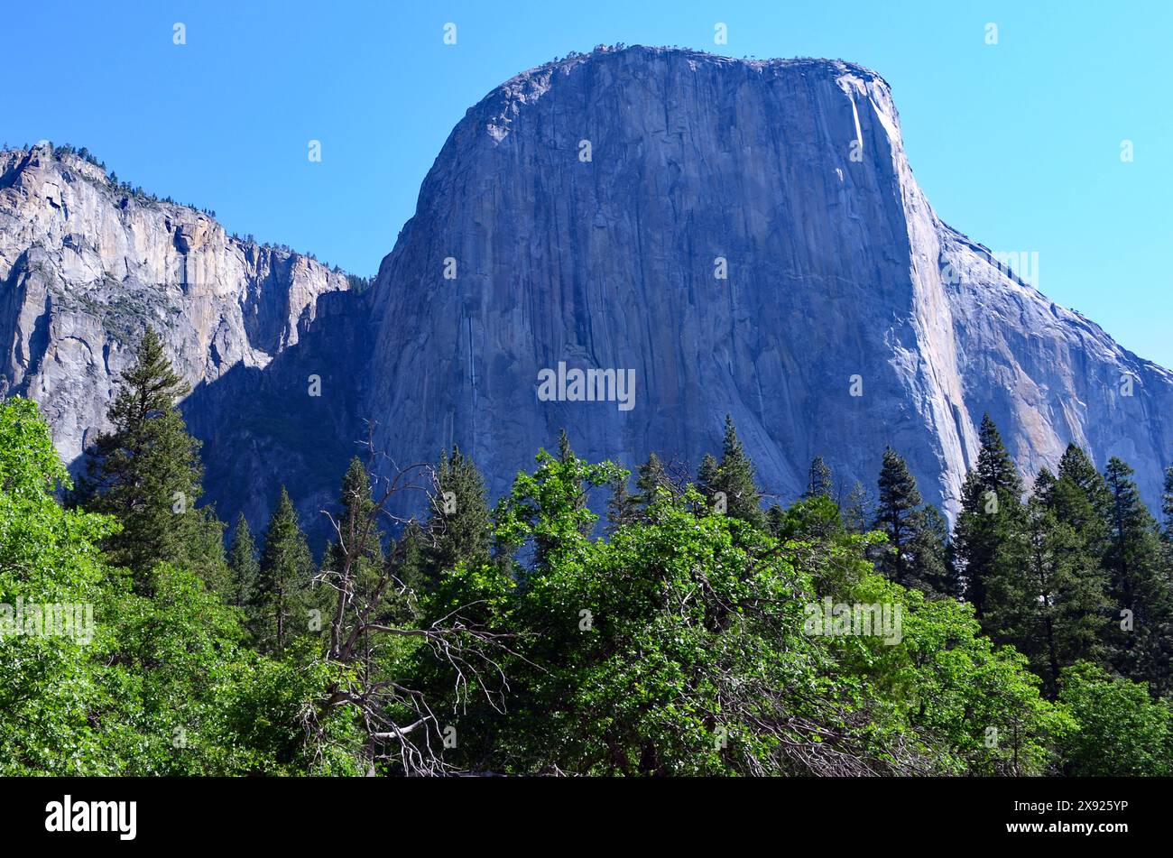 El Capitan de Merced River, parc national de Yosemite, Californie, États-Unis. Banque D'Images