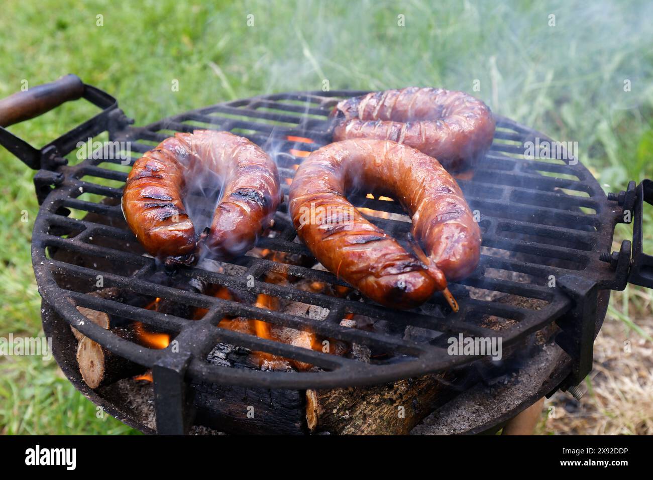 Griller les saucisses bratwurst sur le gril flamboyant. Bearbeque en extérieur. Pique-nique barbecue Banque D'Images