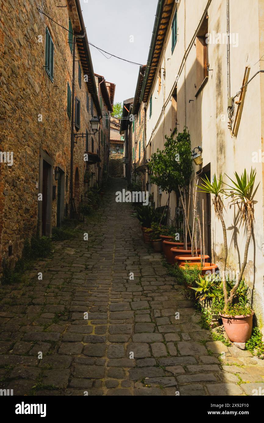 Une rue escarpée dans la vieille ville médiévale historique de Collodi en Toscane, Italie par une journée ensoleillée. La ville abrite Pinocchio et accueille les touristes. Banque D'Images