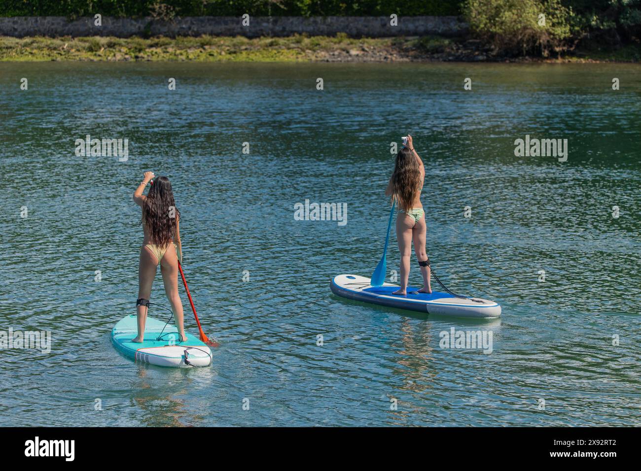 Deux femmes hispaniques multiculturelles pagayant avec leurs planches de surf stand up paddle sur la rivière par une journée d'été ensoleillée, vue de derrière, profitant de l'outdoo Banque D'Images