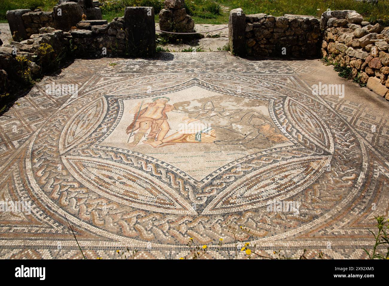 Le site touristique des ruines romaines de Volubilis avec de belles mosaïques près de Meknès Maroc Banque D'Images