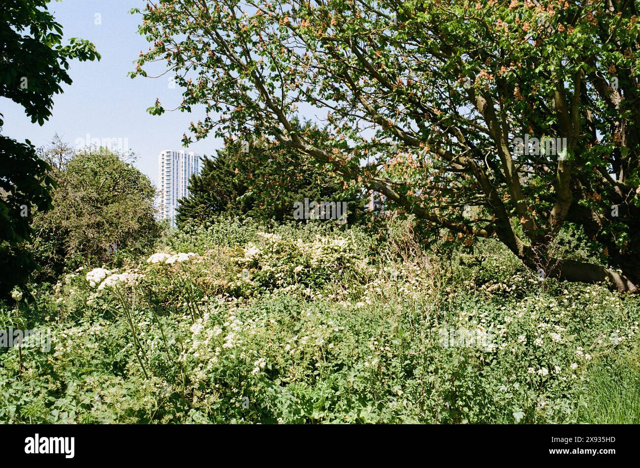 Le nouvel immeuble d'appartements Hale Works à Tottenham Hale, Londres Royaume-Uni, vu de la réserve naturelle des Walthamstow Wetlands Banque D'Images