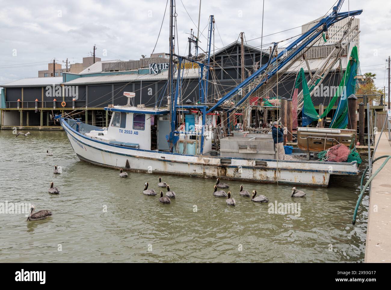 Bateaux de pêche commerciale amarrés à côté de Katie's Seafood House sur le canal de Galveston à Glaveston, Texas Banque D'Images