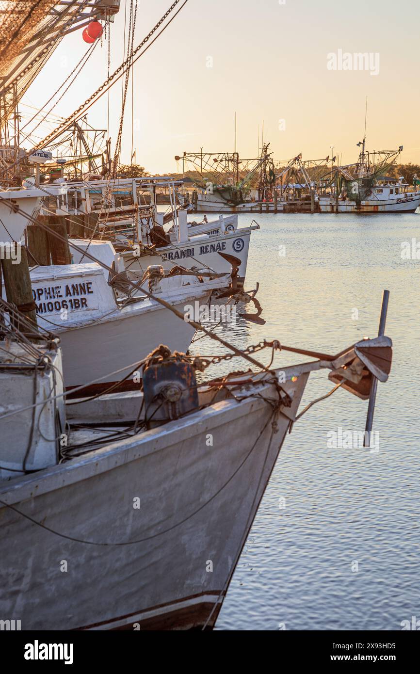 Bateaux de crevette commerciaux dans le port de Pass Christian, Mississippi au crépuscule Banque D'Images