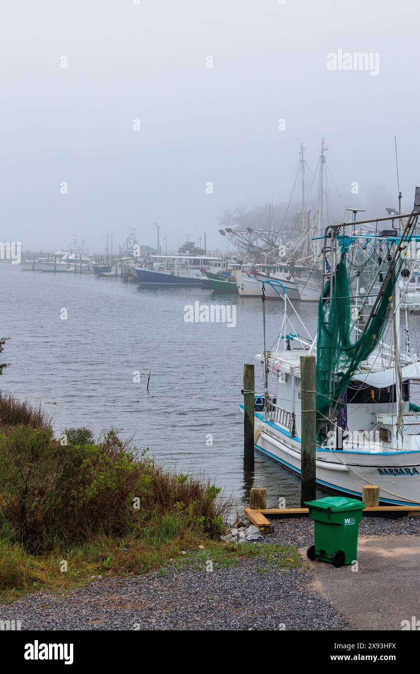 Bateaux de pêche commerciale dans le port d'Ocean Springs, Mississippi par un matin brumeux Banque D'Images