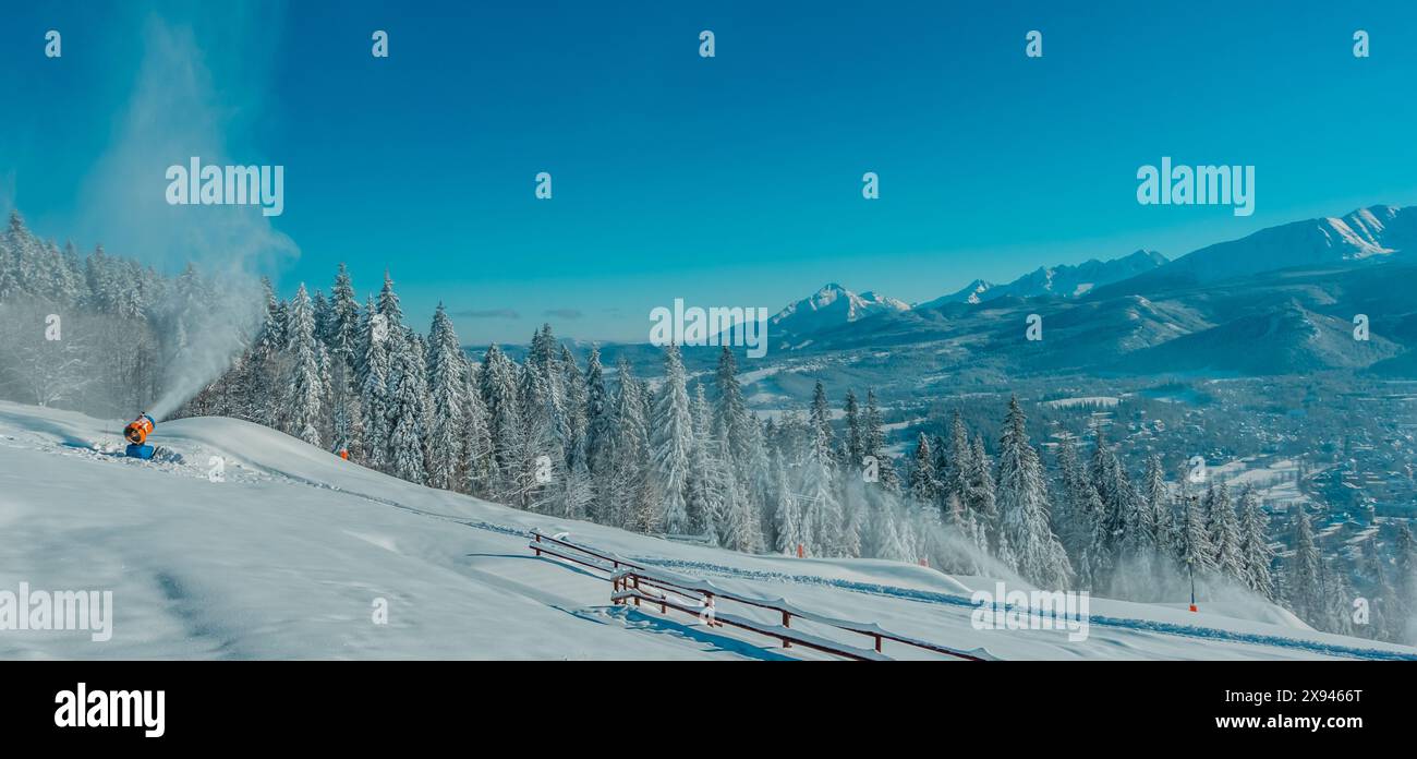 Vue panoramique de Zakopane, Pologne vue de la station de montagne Gubalowka Banque D'Images