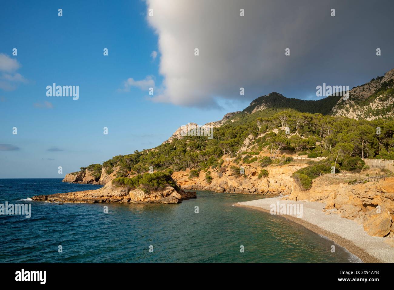 S Illot petite plage est l'une des plages les plus naturelles et les plus belles dans le nord de Majorque, Cap des Pinar, Îles Baléares, Espagne Banque D'Images