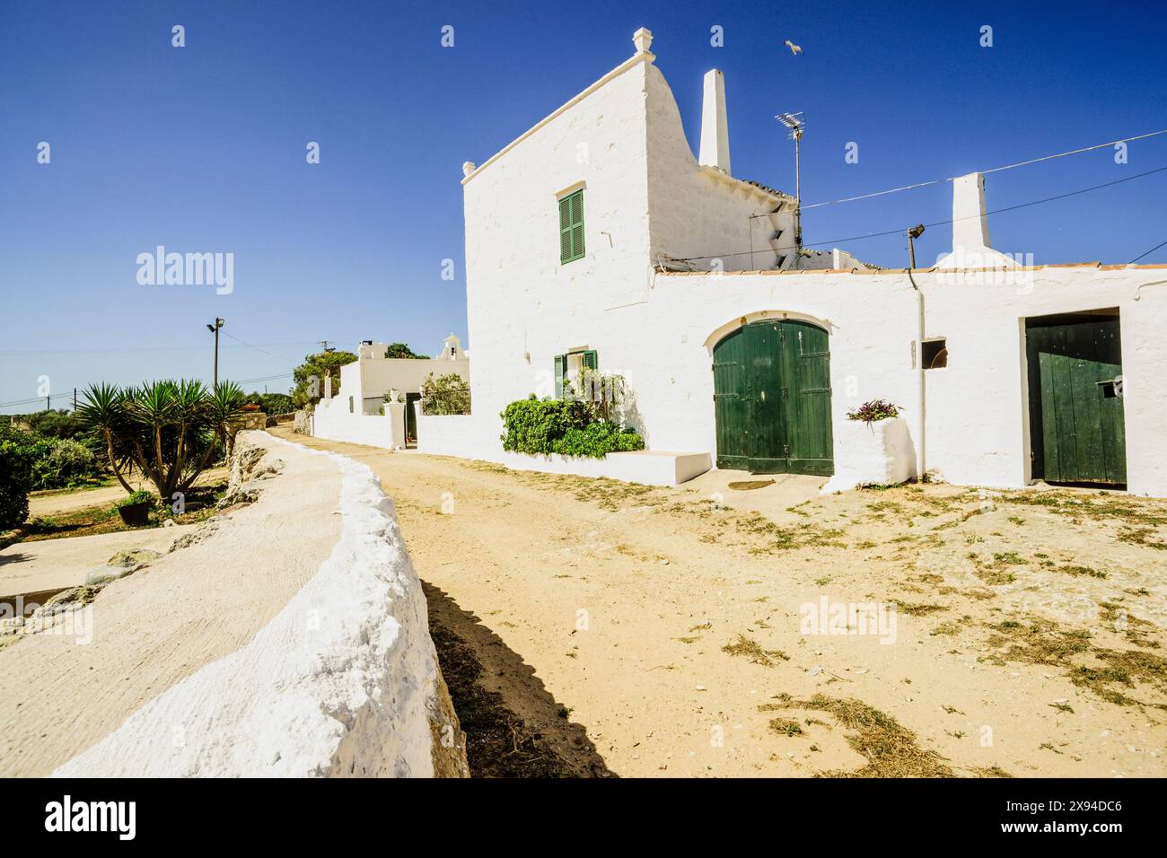 Ferme pour la fabrication artisanale de fromage - appellation d'origine Mahon artesano- finca Binigarba, Ciutadella, Minorque, Îles Baléares, Espagne Banque D'Images