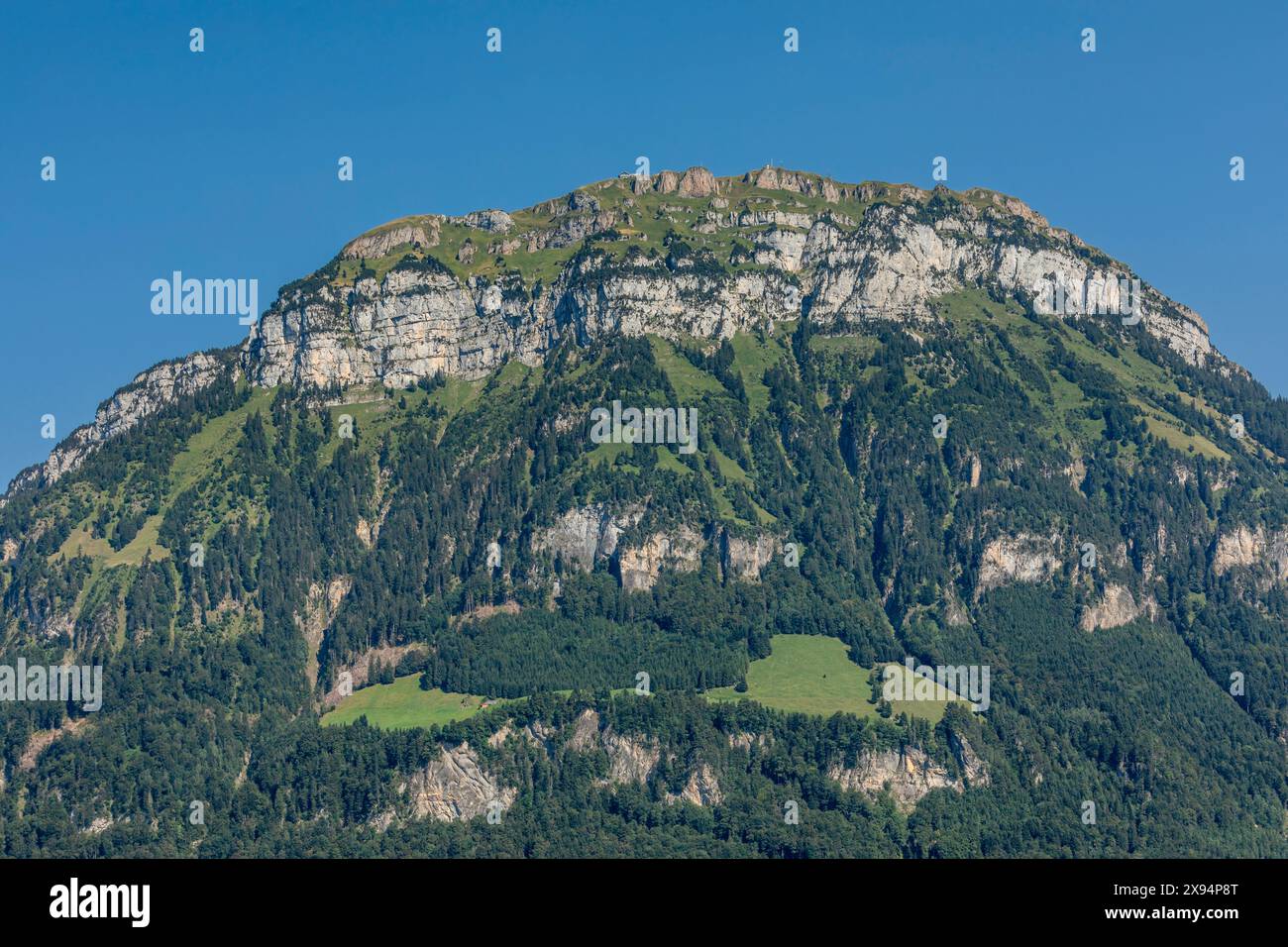 Fronalpstock montagne sur le lac de Lucerne, Morschach, Canton Schwyz, Suisse, Europe Banque D'Images