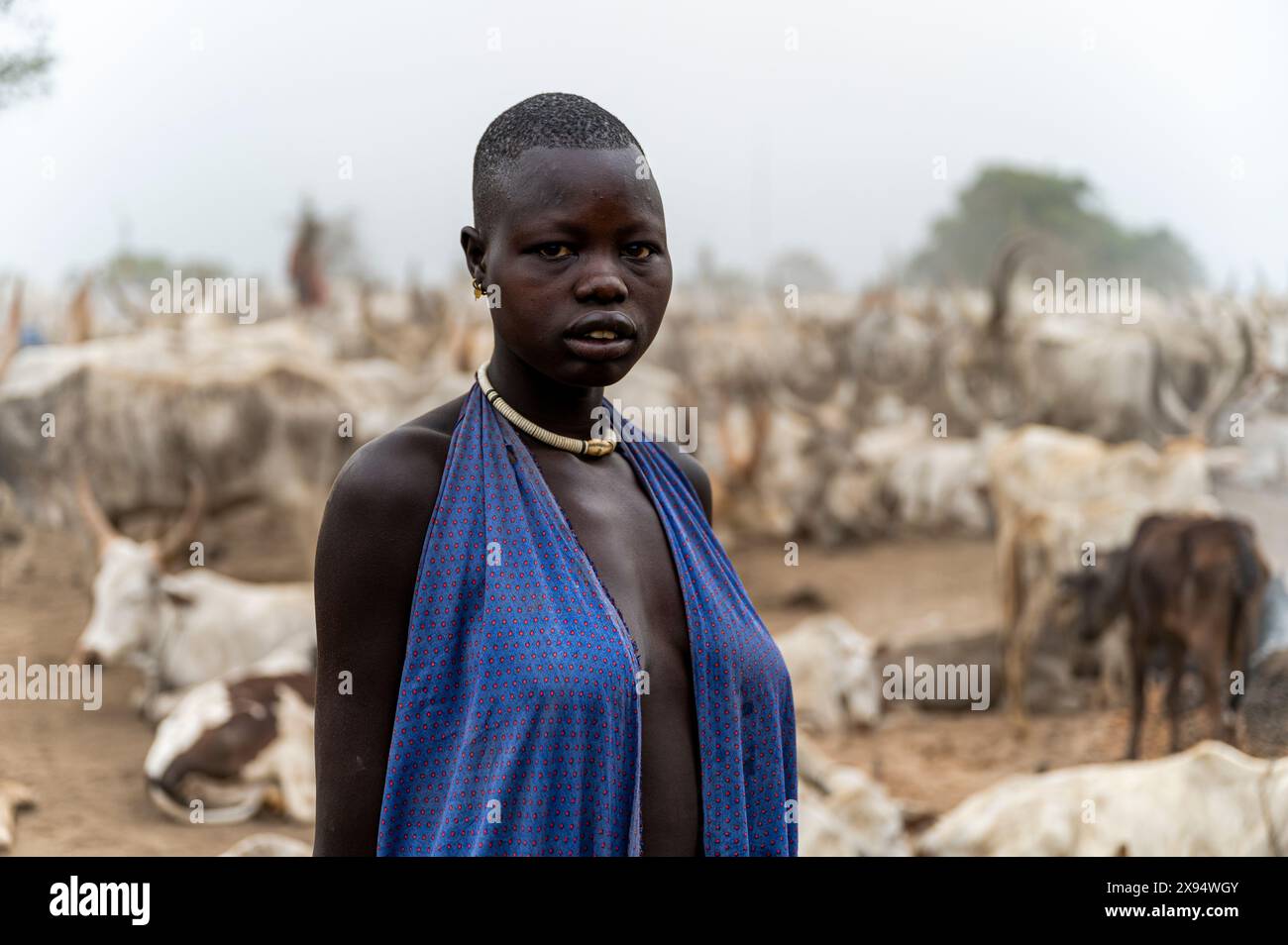 Femme Mundari de la tribu Mundari, Soudan du Sud, Afrique Banque D'Images