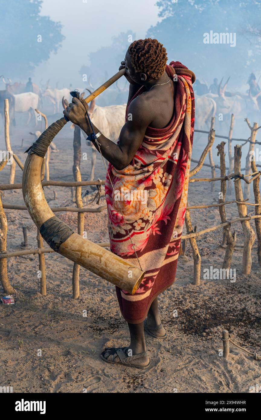 Homme soufflant une corne de vache massive pour signaler aux vaches de revenir, tribu Mundari, Soudan du Sud, Afrique Banque D'Images