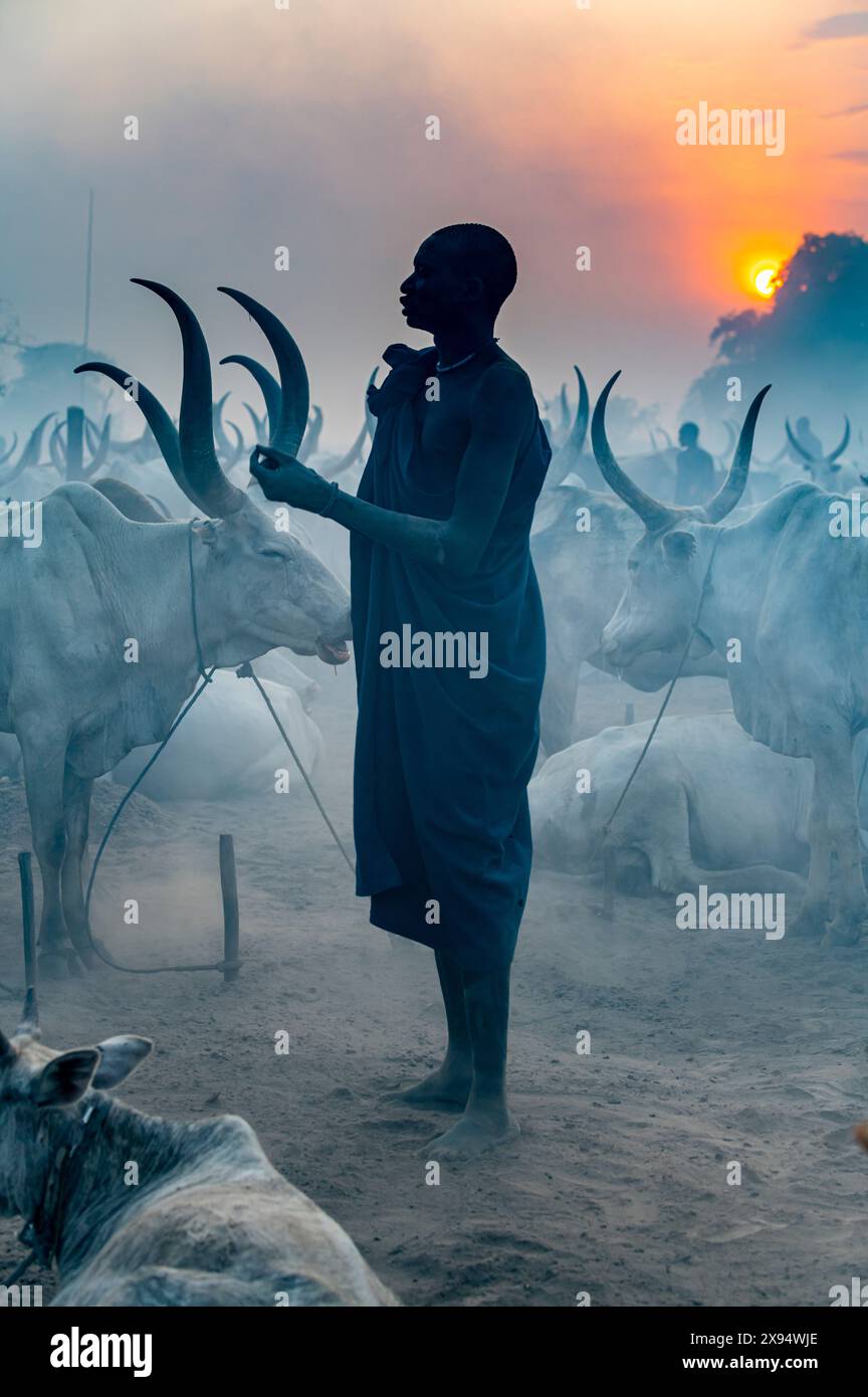 Photo en contre-jour d'une femme dans un camp de bétail Mundari, tribu Mundari, Soudan du Sud, Afrique Banque D'Images