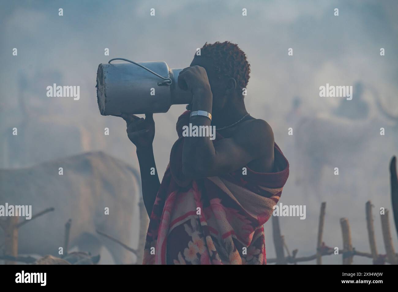 Photo en contre-jour d'un homme dans un camp de bétail Mundari buvant du lait, tribu Mundari, Soudan du Sud, Afrique Banque D'Images
