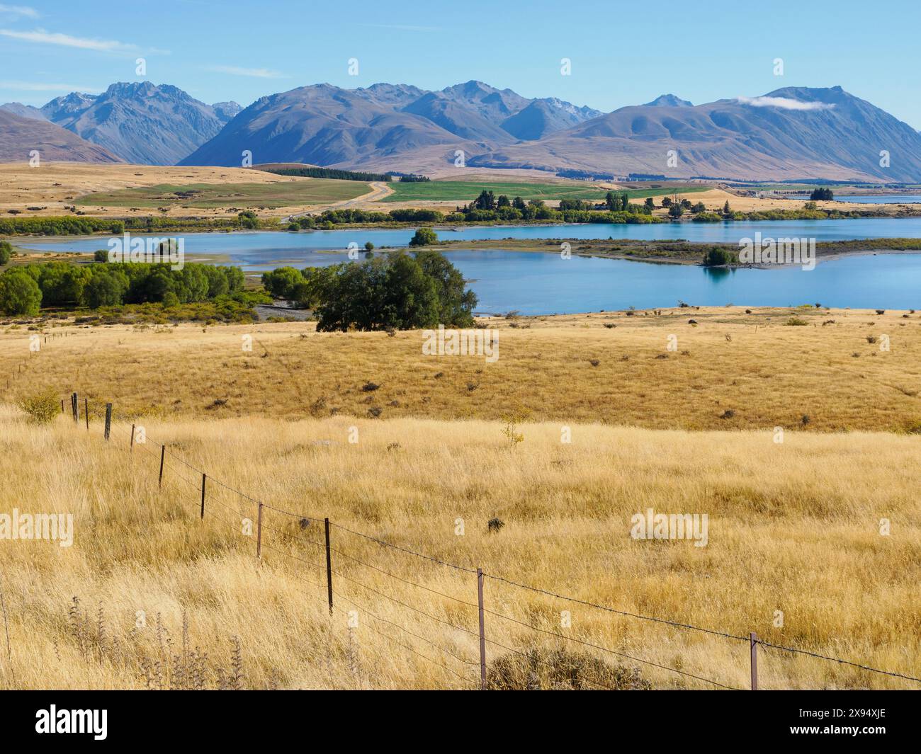 Les parcours herbeux et les collines brunes autour du lac Tekapo, région de Canterbury, Île du Sud, Nouvelle-Zélande, Pacifique Banque D'Images