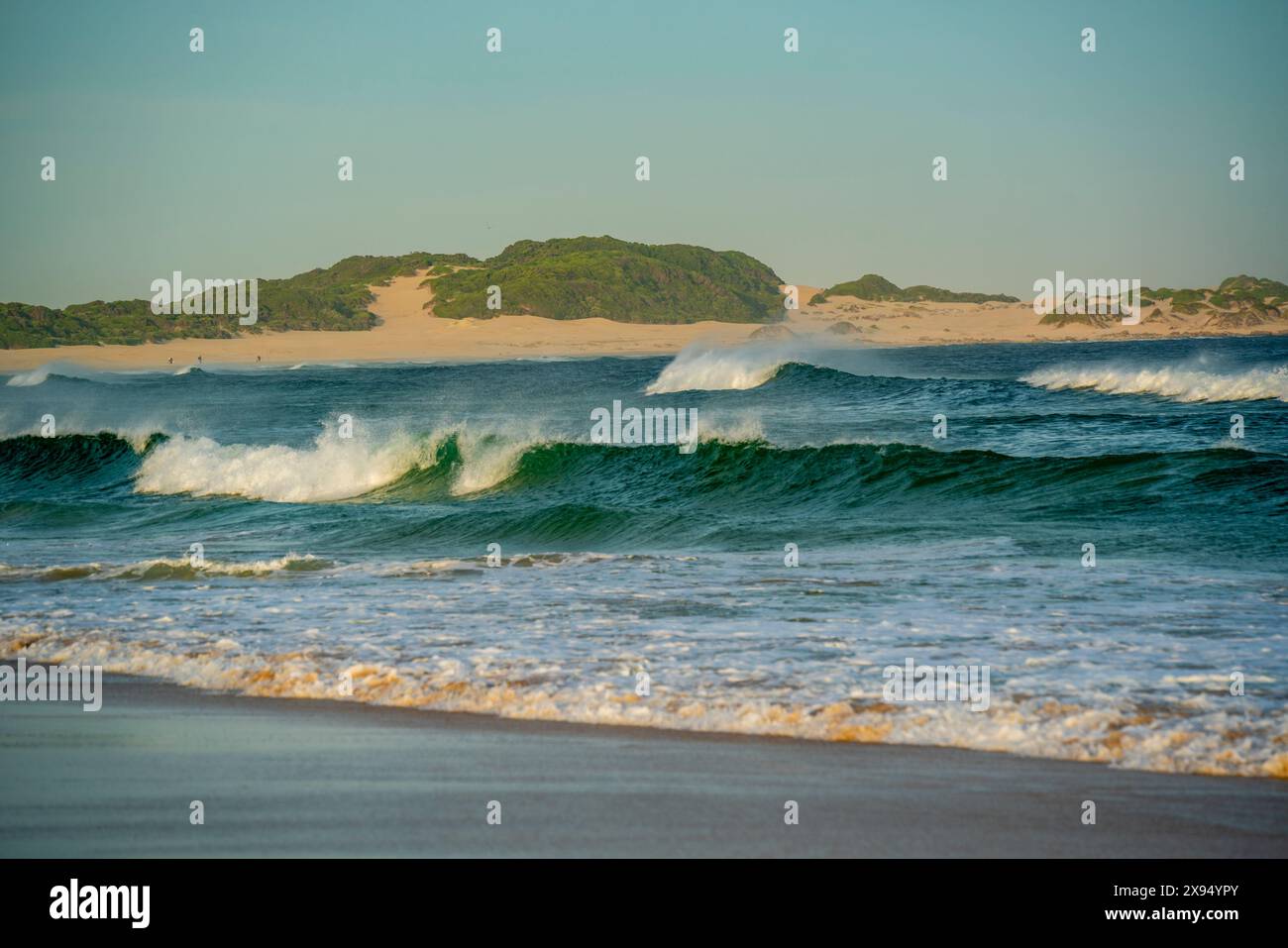 Vue sur les vagues et la plage, Cap préparé Francis, Province du Cap oriental, Afrique du Sud, Afrique Banque D'Images