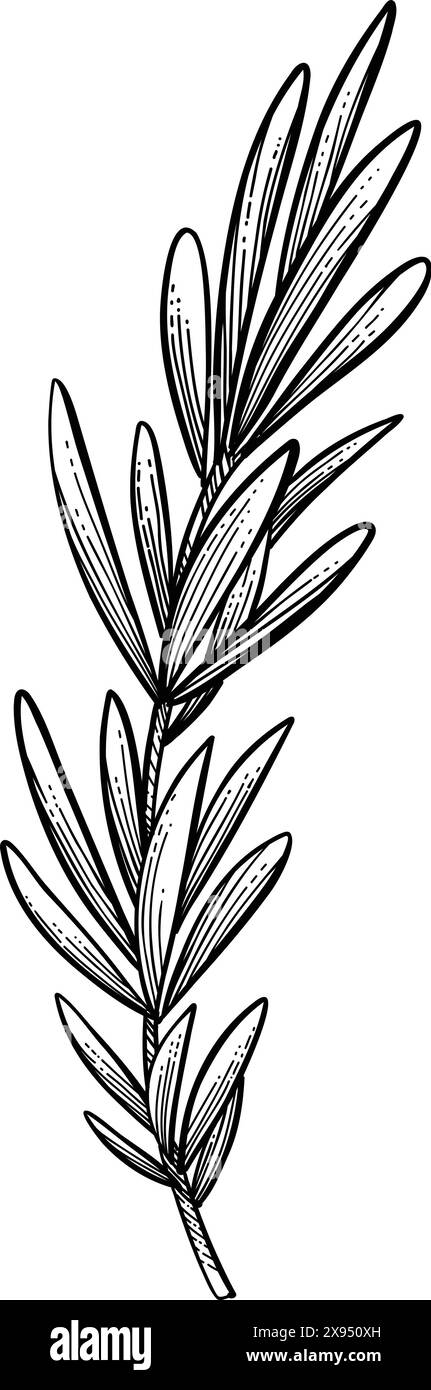 Palo santo bâton. Bâton brûlant d'arôme dessiné à la main, élément rituel et symbole sacré pour la sorcellerie, bois d'aromathérapie boho. Vecteur d'arôme, ésotérique Illustration de Vecteur