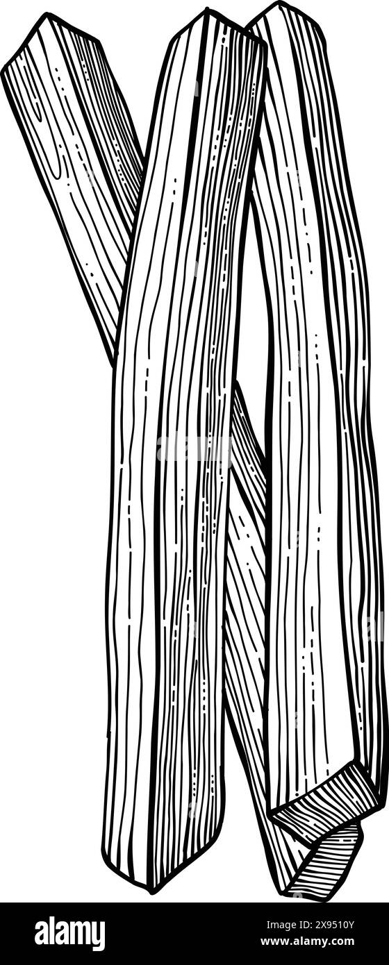 Palo santo bâton. Bâton brûlant d'arôme dessiné à la main, élément rituel et symbole sacré pour la sorcellerie, bois d'aromathérapie boho. Vecteur d'arôme, ésotérique Illustration de Vecteur