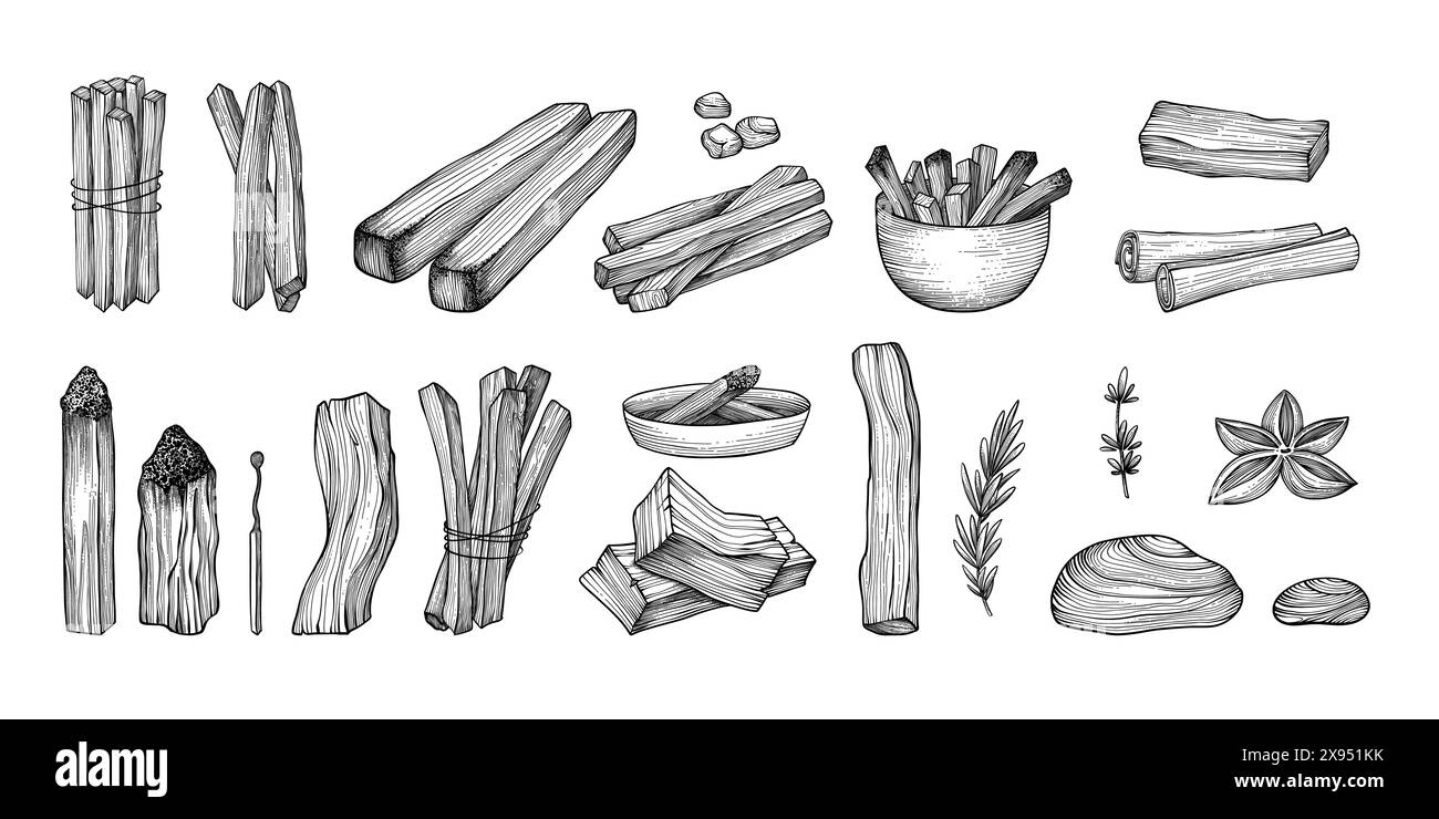 Palo santo bâtons. Bâton brûlant d'arôme dessiné à la main, éléments rituels et symboles sacrés pour la sorcellerie, bois d'aromathérapie boho. Collection vectorielle de Illustration de Vecteur